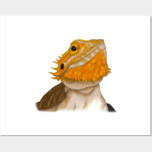 Cute Bearded Dragon Drawing Posters and Art